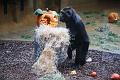 2015-10-22 06-03-06 (2)